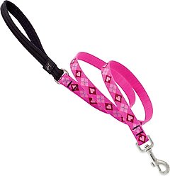 LupinePet Padded Handle Dog Leash, Puppy Love, Medium: 6-ft long, 3/4-in wide