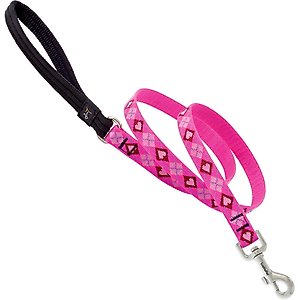 LupinePet Padded Handle Dog Leash, Puppy Love, Medium: 6-ft long, 3/4-in wide