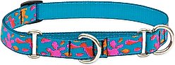 LupinePet Martingale Dog Collar, Wet Paint, Small: 10 to 14-in