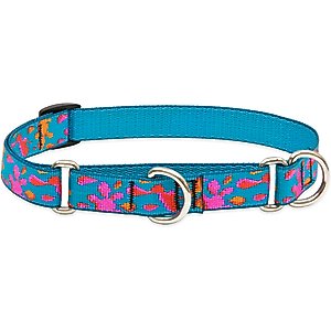 LupinePet Martingale Dog Collar, Wet Paint, Small: 10 to 14-in