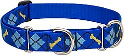 LupinePet Martingale Dog Collar, Dapper Dog, Large: 15 to 22-in slide 1 of 6