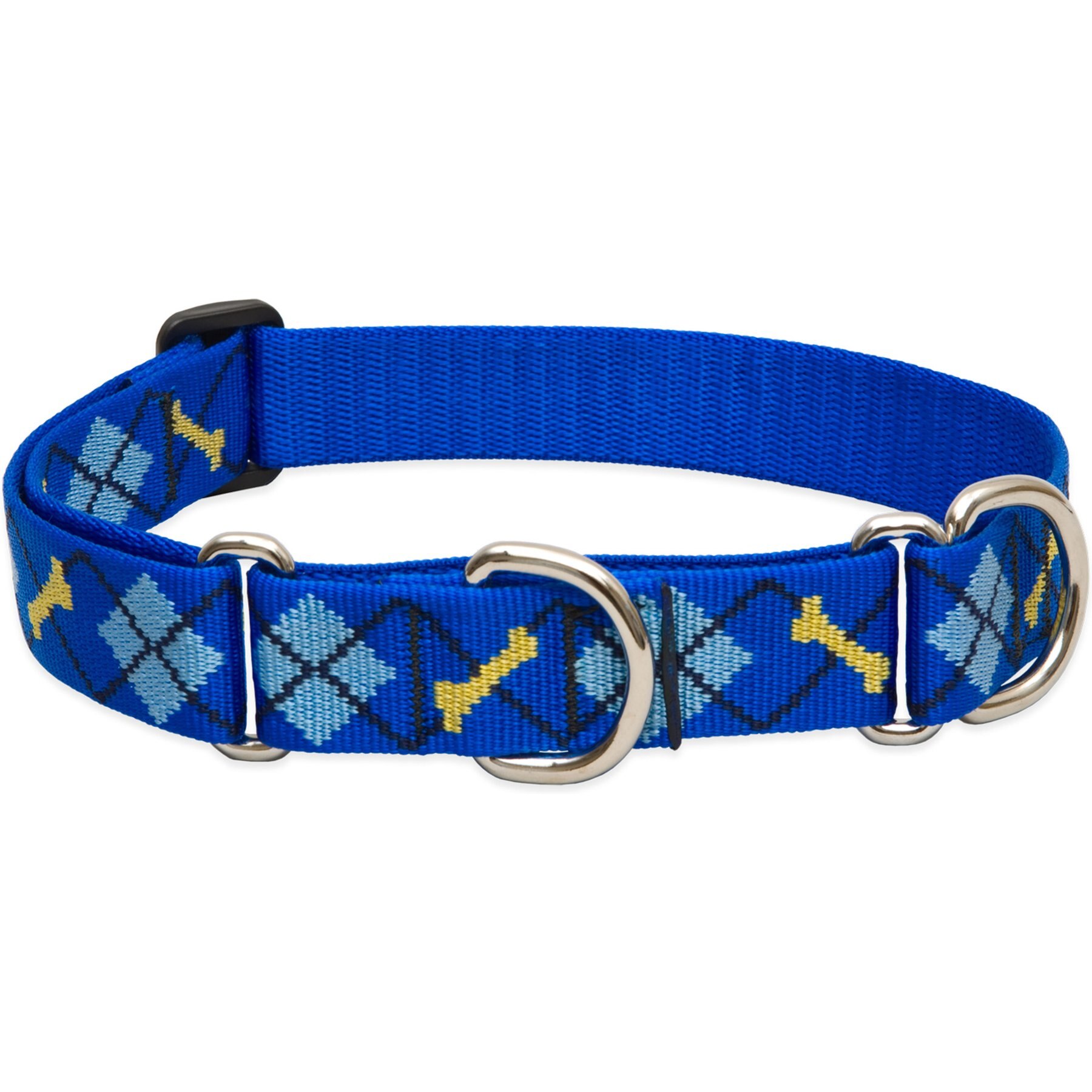 LupinePet Martingale Dog Collar, Dapper Dog, Large: 15 to 22-in