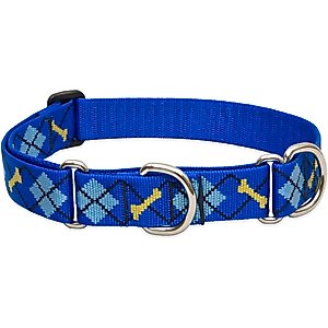 LupinePet Martingale Dog Collar, Dapper Dog, X-Large: 19 to 27-in