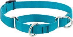LupinePet Basic Solid Martingale Dog Collar, Aqua, Medium: 14 to 20-in