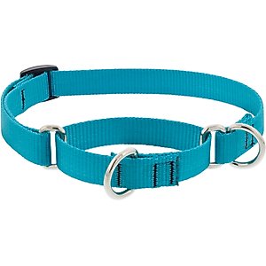 LupinePet Basic Solid Martingale Dog Collar, Aqua, Medium: 14 to 20-in