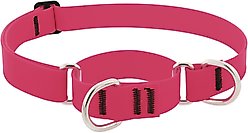 LupinePet Waterproof BioThane Martingale Dog Collar, Neon Pink, X-Large: 19 to 27-in