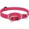 Show in main carousel: LupinePet Waterproof BioThane Martingale Dog Collar, Neon Pink, Large: 15 to 22-in slide 1 of 6