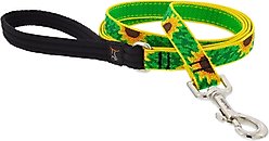 LupinePet Padded Handle Dog Leash, Sunflowers, Regular: 6-ft long, 3/4-in wide slide 1 of 6