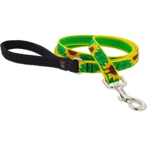 LupinePet Padded Handle Dog Leash, Sunflowers, Regular: 6-ft long, 3/4-in wide