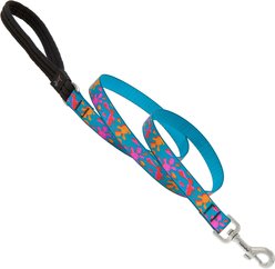 LupinePet Padded Handle Dog Leash, Wet Paint, Regular: 4-ft long, 3/4-in wide