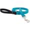 Show in main carousel: LupinePet Basic Solid Padded Handle Dog Leash, Aqua, Regular: 4-ft long, 3/4-in wide slide 1 of 5
