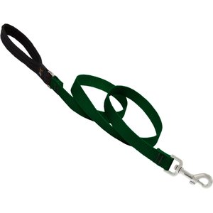 LupinePet Basic Solid Padded Handle Dog Leash, Green, Regular: 4-ft long, 3/4-in wide