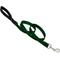 Show in main carousel: LupinePet Basic Solid Padded Handle Dog Leash, Green, Regular: 6-ft long, 3/4-in wide slide 1 of 6