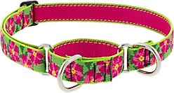 LupinePet Martingale Dog Collar, Petunias, X-Large: 19 to 27-in
