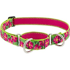 LupinePet Martingale Dog Collar, Petunias, Large: 15 to 22-in