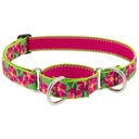 LupinePet Martingale Dog Collar, Petunias, Large: 15 to 22-in