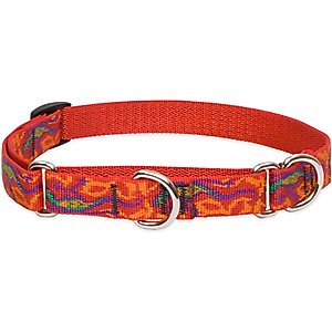 LupinePet Martingale Dog Collar, Go Go Gecko, Medium: 14 to 20-in