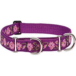 LupinePet Martingale Dog Collar, Rose Garden, Large: 15 to 22-in
