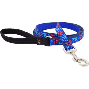 LupinePet Padded Handle Dog Leash, Social Butterfly, Regular: 6-ft long, 3/4-in wide