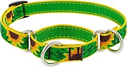 LupinePet Martingale Dog Collar, Sunflowers, Medium: 14 to 20-in