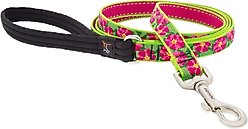 LupinePet Padded Handle Dog Leash, Petunias, Regular: 6-ft long, 3/4-in wide