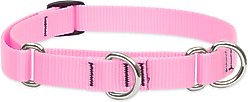LupinePet Basic Solid Martingale Dog Collar, Pink, Medium: 14 to 20-in