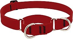 LupinePet Waterproof BioThane Martingale Dog Collar, Brick Red, Large: 15 to 22-in