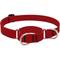 Show in main carousel: LupinePet Waterproof BioThane Martingale Dog Collar, Brick Red, Large: 15 to 22-in slide 1 of 6