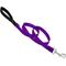 Show in main carousel: LupinePet Basic Solid Padded Handle Dog Leash, Purple, Regular: 6-ft long, 3/4-in wide slide 1 of 5