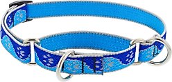 LupinePet Reflective Paws Martingale Dog Collar, Blue Paws, Medium: 14 to 20-in