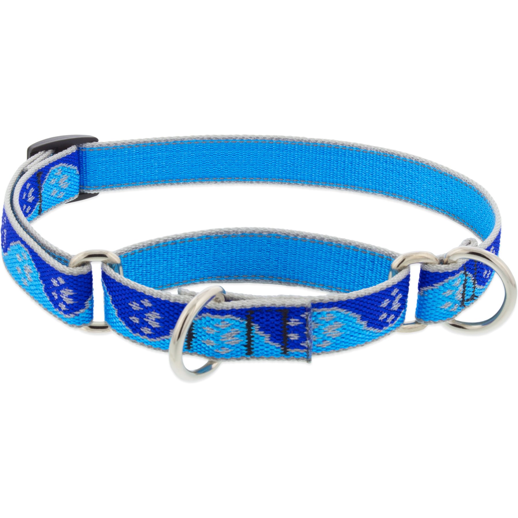 LupinePet Reflective Paws Martingale Dog Collar, Blue Paws, Small: 10 to 14-in