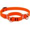 Show in main carousel: LupinePet Waterproof BioThane Martingale Dog Collar, Neon Orange, Small: 10 to 14-in slide 1 of 7