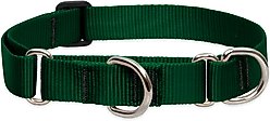 LupinePet Basic Solid Martingale Dog Collar, Green, Large: 15 to 22-in