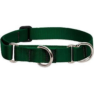 LupinePet Basic Solid Martingale Dog Collar, Green, Large: 15 to 22-in