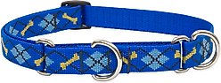 LupinePet Martingale Dog Collar, Dapper Dog, Small: 10 to 14-in slide 1 of 6