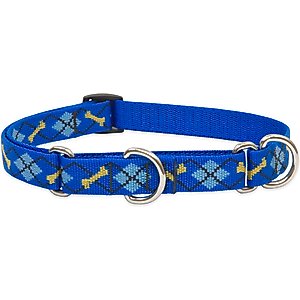 LupinePet Martingale Dog Collar, Dapper Dog, Small: 10 to 14-in