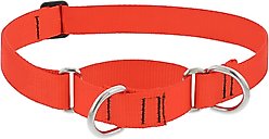 LupinePet Basic Solid Martingale Dog Collar, Blaze Orange, X-Large: 19 to 27-in
