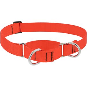LupinePet Basic Solid Martingale Dog Collar, Blaze Orange, X-Large: 19 to 27-in