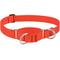 Show in main carousel: LupinePet Basic Solid Martingale Dog Collar, Blaze Orange, X-Large: 19 to 27-in slide 1 of 8