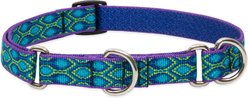 LupinePet Martingale Dog Collar, Rain Song, Medium: 14 to 20-in