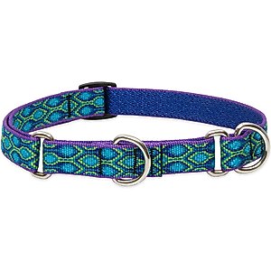 LupinePet Martingale Dog Collar, Rain Song, Medium: 14 to 20-in
