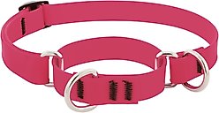 LupinePet Waterproof BioThane Martingale Dog Collar, Neon Pink, Medium: 14 to 20-in