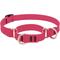 Show in main carousel: LupinePet Waterproof BioThane Martingale Dog Collar, Neon Pink, Medium: 14 to 20-in slide 1 of 7