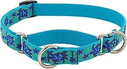 LupinePet Martingale Dog Collar, Turtle Reef, Medium: 14 to 20-in slide 1 of 6
