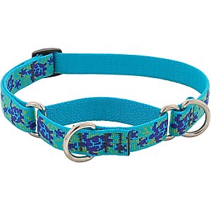 LupinePet Martingale Dog Collar, Turtle Reef, Small: 10 to 14-in