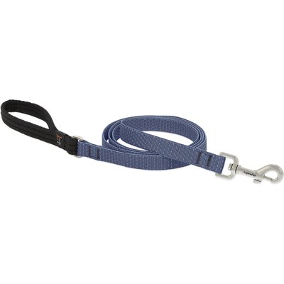 LupinePet LupinePet ECO Recycled Padded Handle Dog Leash, Mountain Lake, Regular: 6-ft long, 3/4-in wide