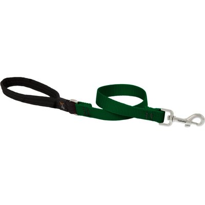 LupinePet LupinePet Basic Solid Padded Handle Dog Leash, Green, Short: 2-ft long, 3/4-in wide