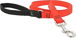 LupinePet Basic Solid Padded Handle Dog Leash, Blaze Orange, Regular: 6-ft long, 3/4-in wide
