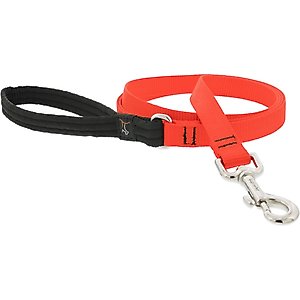 LupinePet Basic Solid Padded Handle Dog Leash, Blaze Orange, Regular: 6-ft long, 3/4-in wide