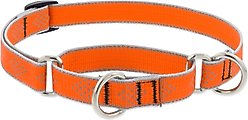 LupinePet Reflective Diamonds Martingale Dog Collar, Orange Diamond, Small: 10 to 14-in